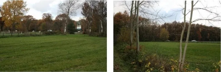 Natuur en bomen rondom het scoutingterrein